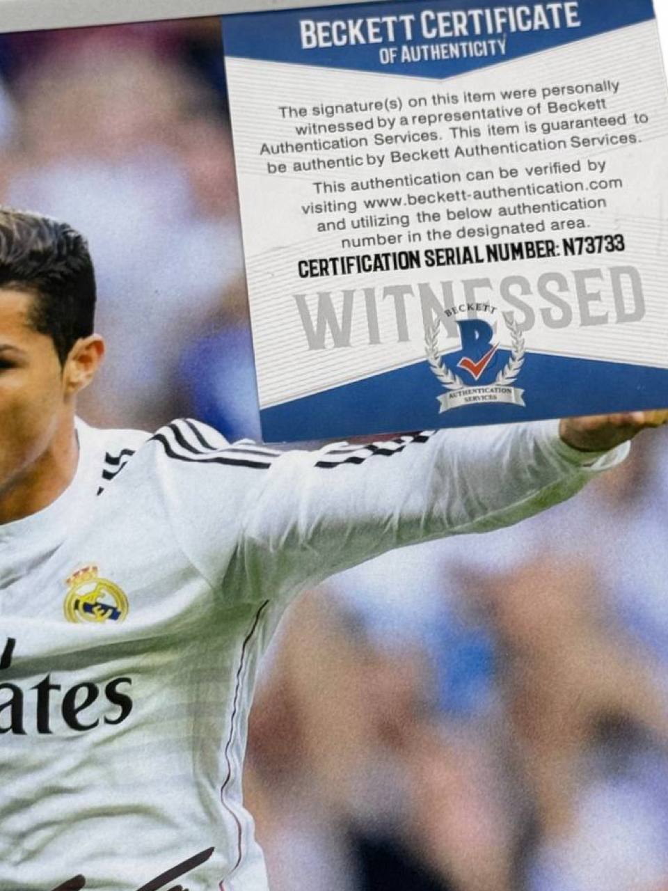 photo_2025-07-04_18-49-12