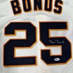 photo_2025-09-01_00-40-07